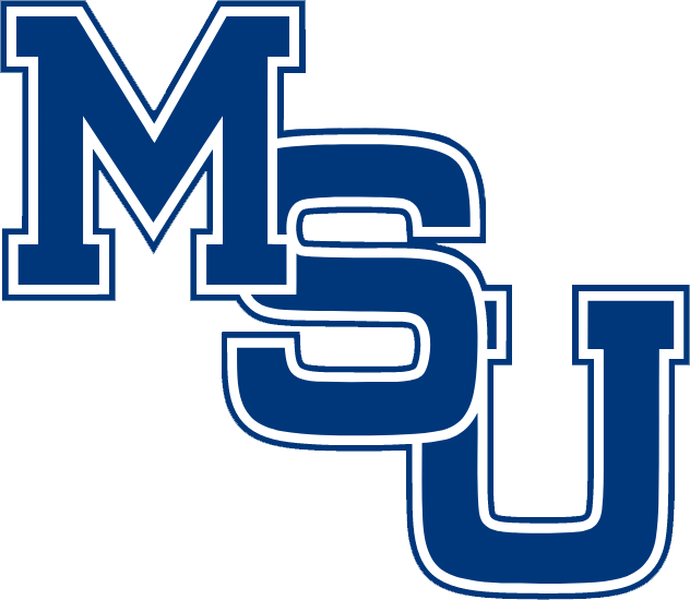 Memphis Tigers 1972-1979 Primary Logo diy iron on heat transfer